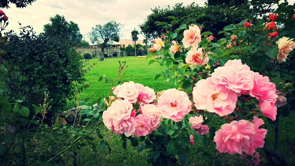 Villa Elegance Ladispoli Eksteriør bilde