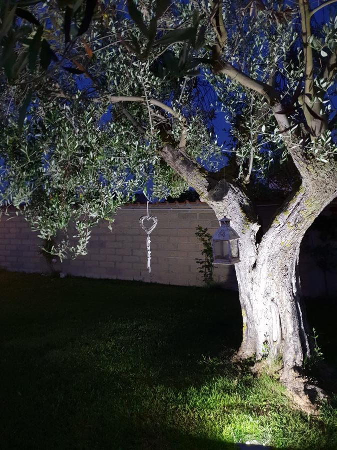 Villa Elegance Ladispoli Eksteriør bilde