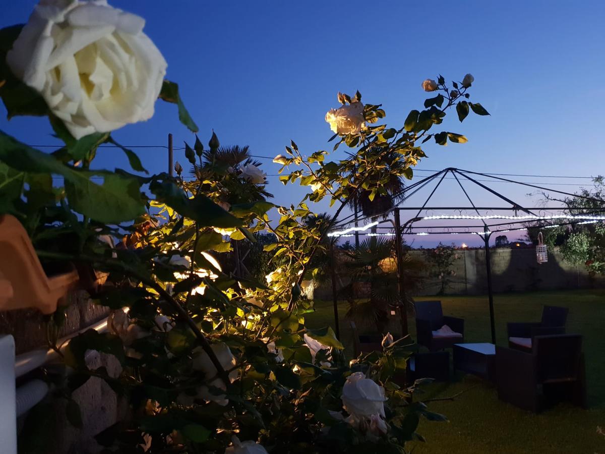 Villa Elegance Ladispoli Eksteriør bilde